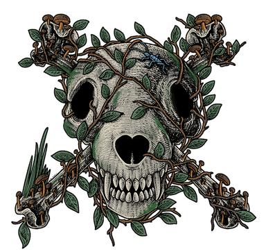 Laura Motin Grave
auteure aventurière 